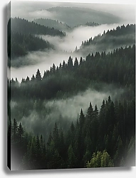 Постер Виктор Липников Зеленый хвойный лес в тумане