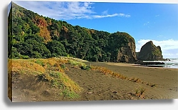 Постер Печенин Евгений Новая Зеландия. Вулканический песок пляжа Пиа