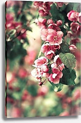 Постер Сидорова Маргарита Розовые цветы 3