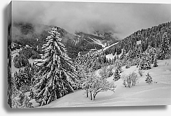 Постер Енацкая Мария Французские Альпы. Облако в долине Мерибель