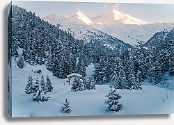 Постер Енацкая Мария Французские Альпы. Вечернее солнце освещает вершину Mont Du Borgne