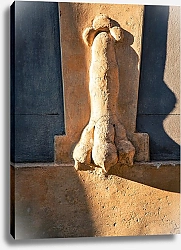 Постер Андреев Алексей Италия, Генуя. Фрагмент стены №2. Лапа льва