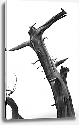 Постер Константинов Андрей Сухое дерево