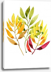 Постер olies акварельные листья