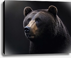 Постер Виктор Липников Медведь