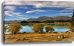 Постер Печенин Евгений Новая Зеландия. Осень на озере Текапо