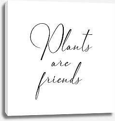 Постер Светлана Соловьева Plants are friends
