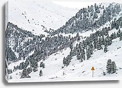 Постер Енацкая Мария Французские Альпы. Яркое пятно