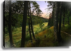 Постер Мелихов Илья Московская область, Россия. Летний вечер в лесу
