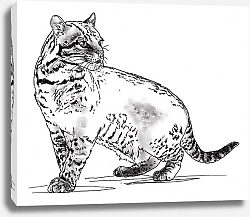 Постер Светлана Голофаева кот январь