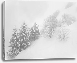 Постер Енацкая Мария Французские Альпы. Куршевель. Призрачные деревья