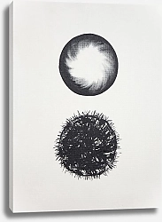 Постер Simple Abstract. TAS Studio by MaryMIA The circles. Rings 8
