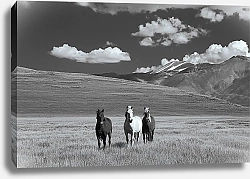 Постер Платонова Катя Три лошади в поле