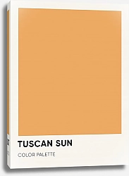 Постер Sonita Sun of Tuscany