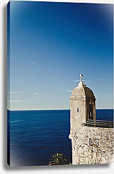 Постер Кузьмин Павел Лазурный берег, Монако, чайка