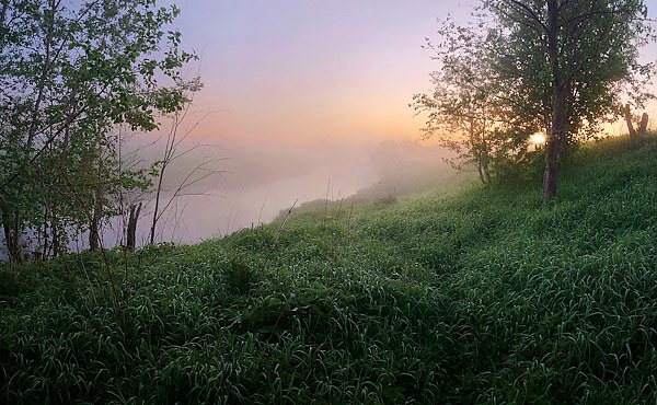 Московская область, Россия. Туман над рекой. Утро