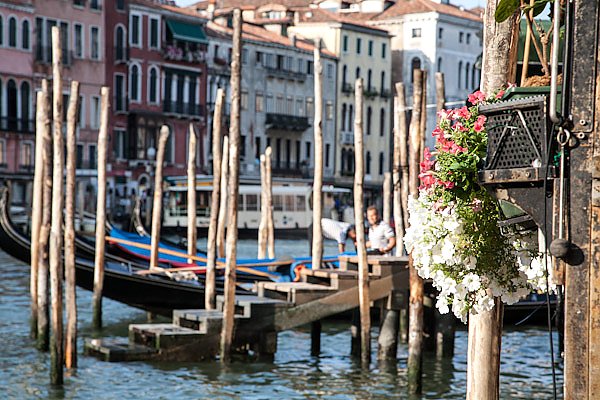 Венеция, Италия. Гранд Канал с моста Риальто №4