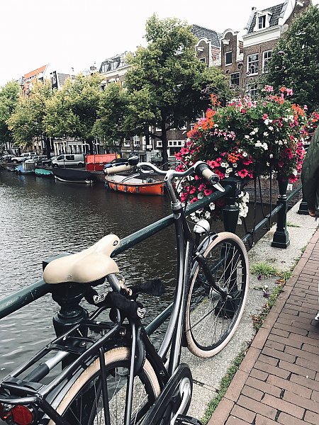 Улицы Амстердама 3