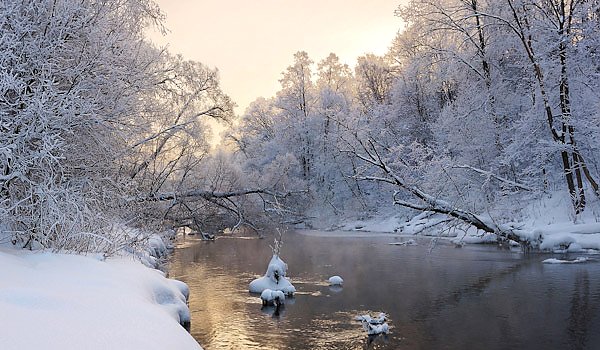 Истра, Россия. Лесная река зимой