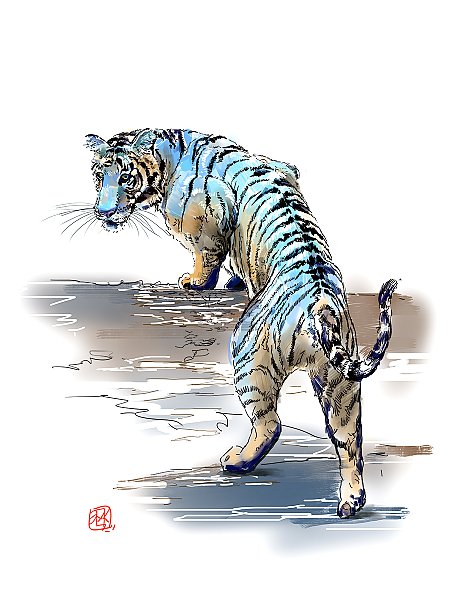 поднимающийся синий тигр