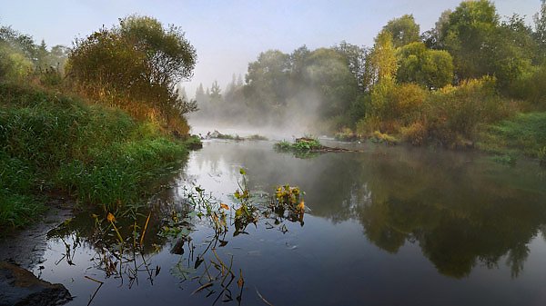 Московская область, Россия. Туман над рекой