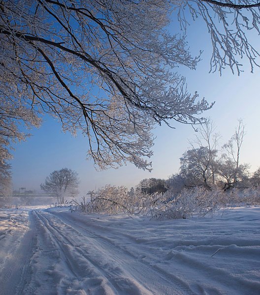 На окраине села Красково. Зима