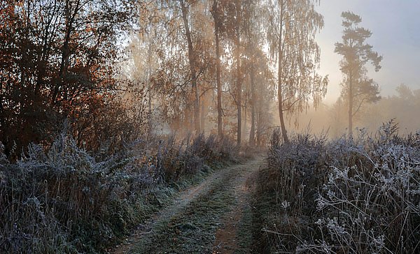 Московская область, Россия. Осенний туман