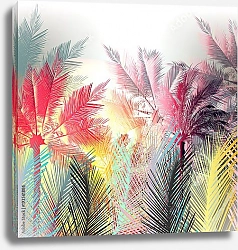 Постер Красочные пальмы и тропические растения