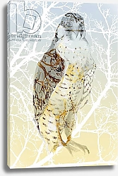 Постер Мониц Коламбус Нэнси (совр) Peregrine Falcon, 2015,