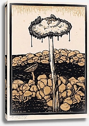 Постер Граак Джули Druipende paddenstoel