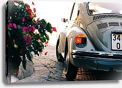 Постер Ретро-автомобиль у цветника