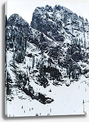 Постер Заснеженные скалы, покрытые лесом