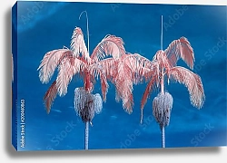Постер Две розовые пальмы на фоне синего неба