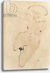 Постер Шиле Эгон (Egon Schiele) Female nude, 1912