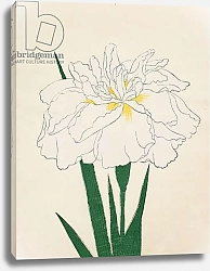 Постер Школа: Японская 19в. Ujaku-No-Nagisa, No. 61, 1890