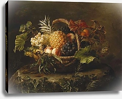 Постер Дженсен Йоханн A Pineapple, Grapes, Peaches and Apricots in a Basket,