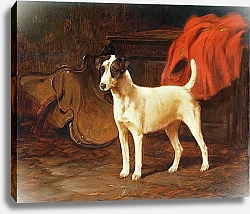 Постер Райт Джордж Fox Terrier in a Stable