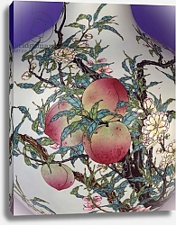 Постер Школа: Китайская 18в. Detail from a magnificent famille rose nine-peach globular bottle vase, 1735-1795