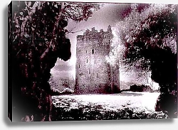Постер Мардсен Симон (чбф) Lackeen Castle, County Tipperary, Ireland