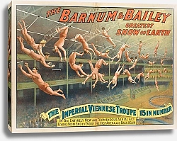 Постер Неизвестен The Barnum; Bailey greatest show on earth : The imperial Viennese troupe, 15 in number