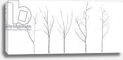 Постер Черокки Джулио (совр) Territori Innevati - cinque alberi giorno, 2012, photographic contamination