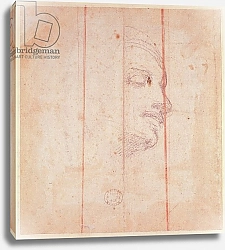 Постер Микеланджело (Michelangelo Buonarroti) Study for the Head of the Libyan Sibyl