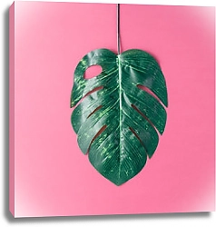 Постер Тропический пальмовый лист на розовом фоне