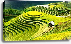 Постер Вьетнам. Рисовые террасы Mu Cang Chai, YenBai №2