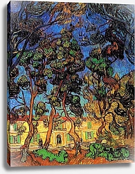 Постер Ван Гог Винсент (Vincent Van Gogh) Деревья в саду больницы Сен-Поля