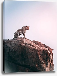 Постер Леопард на скале 1