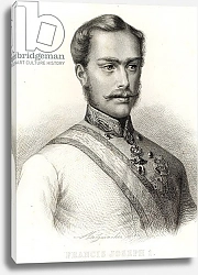 Постер Школа: Австрийская 19в. Franz Joseph I, Emperor of Austria