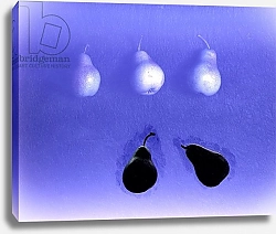 Постер Холландс Норман (совр) Blue Pears 2005