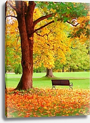 Постер Осень в Хельсинки