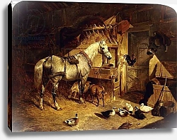 Постер Херринг Джон The Interior of a Stable with a Dapple Grey Horse in Harness, with Ducks, Goats, and a Cockerel by a Manger, 1843